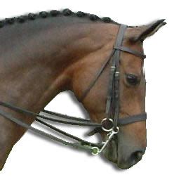 How to Fit A Double Bridle Properly | Local Riding