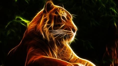 Live Wallpapers for Chromebook | Live wallpapers, Background hd wallpaper, Animal wallpaper