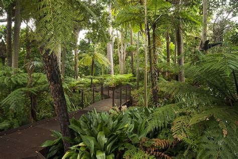 The Botanical Gardens Melbourne – Beautiful Flower Arrangements and Flower Gardens