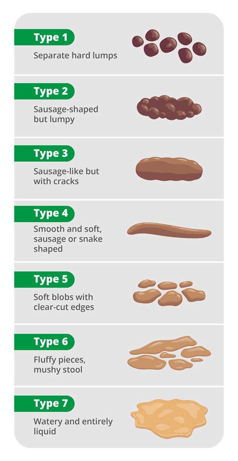 What your poop says about your health - StarMed Specialist Centre