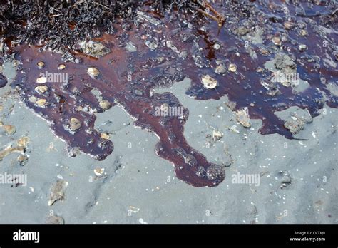 oil on the beach at port Fourchon, Louisiana Stock Photo - Alamy