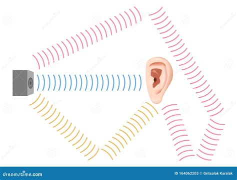 Echo Is A Reflection Of Sound Waves Vector Illustration | CartoonDealer.com #42597764