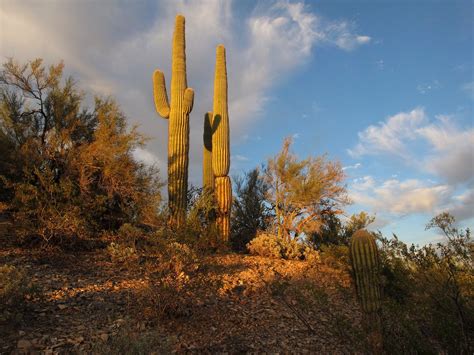 Elevation of Vistancia, Peoria, AZ, USA - Topographic Map - Altitude Map