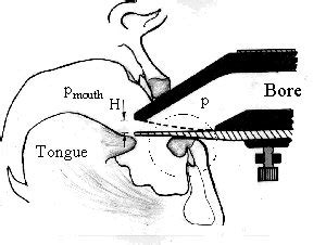 Saxophone Embouchure Diagram - Wiring Diagram Pictures