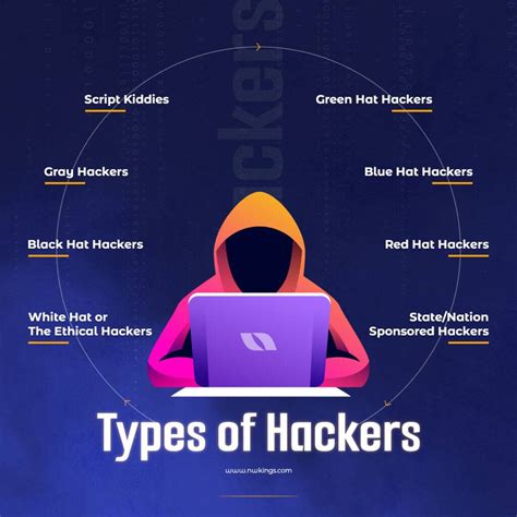 8 Different types of Hackers and What they do?- Best Explained