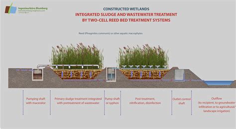 Constructed Wetlands - Reed bed treatment system