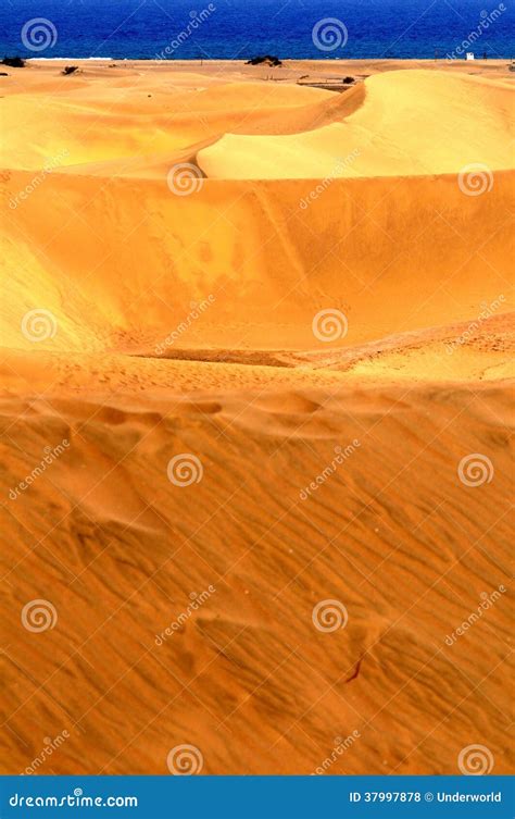 Sand Desert stock photo. Image of golden, land, beautiful - 37997878