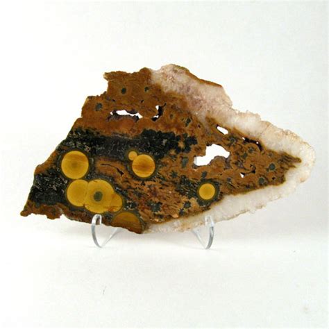 Ocean Jasper | Enter the Earth Online Store