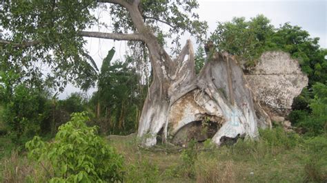 North (Cap-Haïtien, Milot, etc.) — Mapping Haitian History