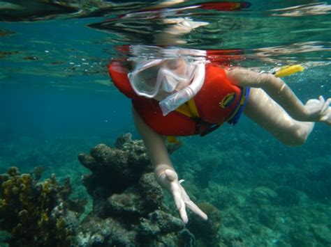 Snorkeling Roatán Honduras