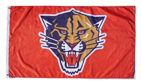 NHL Florida Panthers Flag-3x5FT Banner-100% polyester - flagsshop