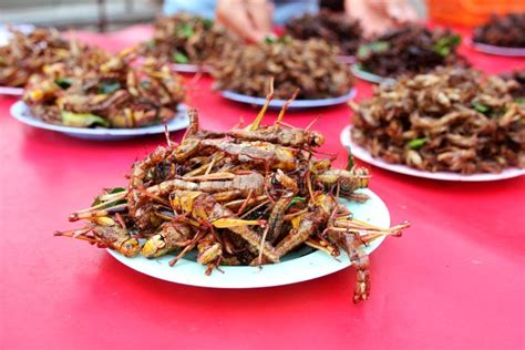 Close Up Fried Grasshopper or Belalang Goreng is Traditional Food from Southeast Asia Stock ...