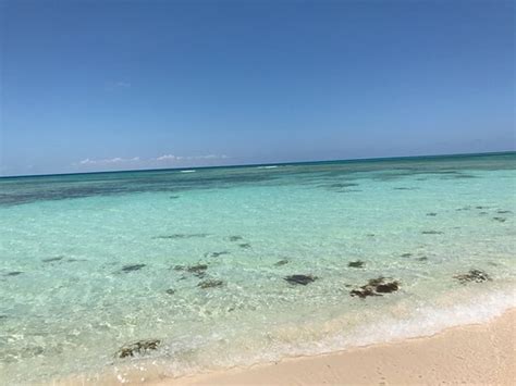 Bajari Beach (Grand Turk) - 2019 All You Need to Know BEFORE You Go (with Photos) - TripAdvisor