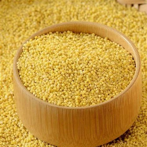 Little Yellow Millet Seeds, Packaging Type: Plastic Bag at Rs 25/kilogram in New Delhi