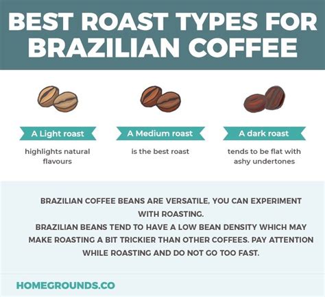 Brazilian Coffee Guide (Top Picks, Guide + Brewing Tips)