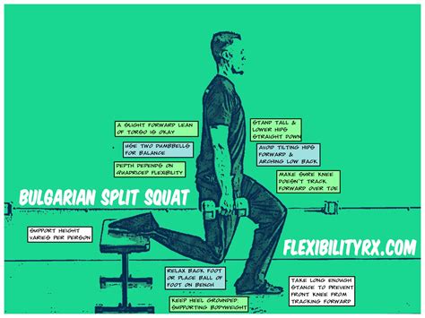 Single Leg Exercises: Bulgarian Split Squat | FlexibilityRx™ - Performance Based Flexibility ...