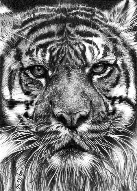 Nature Hyper Realistic Drawings | ubicaciondepersonas.cdmx.gob.mx