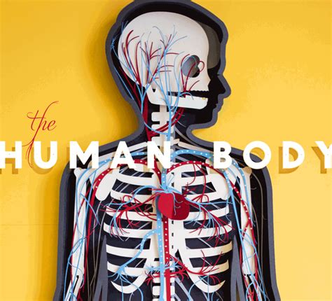 Making The Human Body app more human | Human body app, Human body videos, Human body systems ...