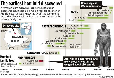 The earliest hominid discovered in Ethiopia. | Human evolution, Hominid, Evolution