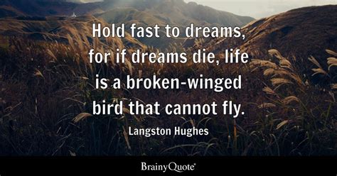 Langston Hughes - Hold fast to dreams, for if dreams die...