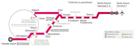 Narita or Haneda? Which of Tokyo's airports should you fly into