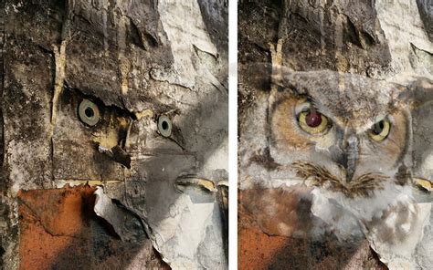 Decaying and layered street art looks like an owl - The Artsology Blog