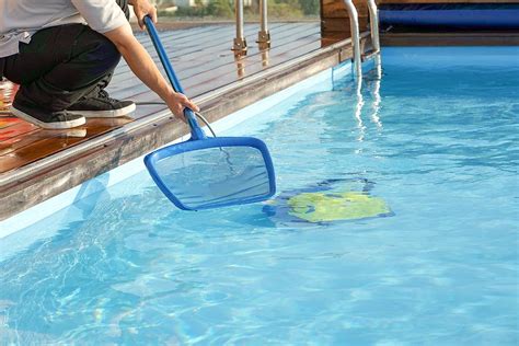 Green Pool Water Treatment: 5 Quick Fixes | Bliss Home Leisure