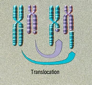 Mutations in Biology | Definition, Types & Examples | Study.com