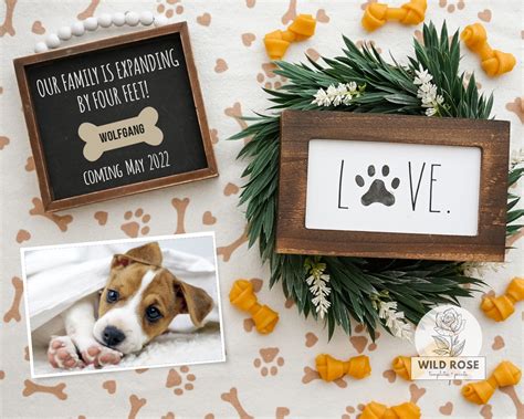 Puppy Dog Announcement for Social Media Instagram Facebook | Etsy