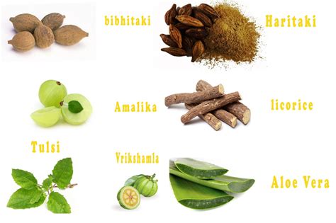 10 Ayurvedic Supplements For Weight Loss - Find Health Tips