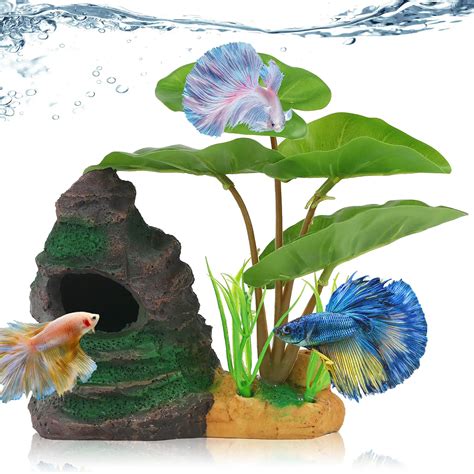 Enhance Your Betta Fish Tank With These Creative Decorations - Betta ...