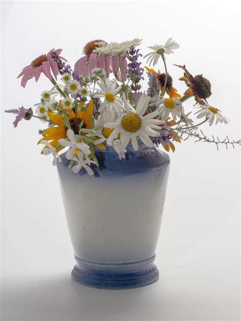 Free Images : plant, balcony, vase, decoration, lighting, flora, still life, houseplant, flowers ...