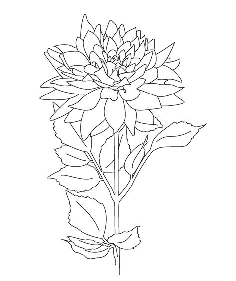 ️Free Printable Botanical Coloring Pages Free Download| Goodimg.co