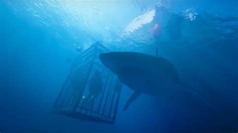 47 Meters Down Ending, True Story, Spoilers: Explained - Cinemaholic