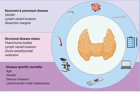 Cancers | Free Full-Text | Clinicopathological Features as Prognostic Predictors of Poor Outcome ...