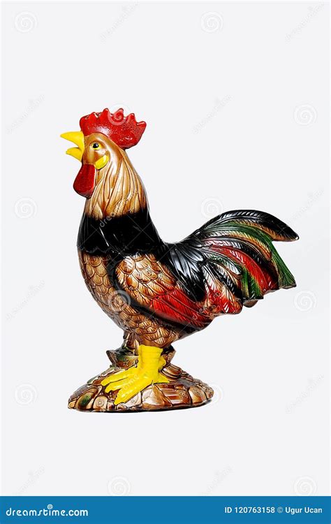 Denizli Rooster, the Typical Rooster Breed in Denizli Province Stock ...