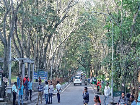 Bengaluru: IISc will be vehicle-free