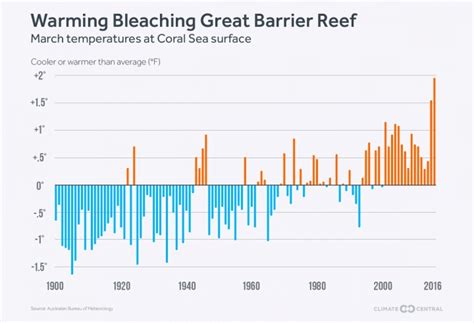 Best Protected Great Barrier Reef Corals Are Now Dead | Climate Central