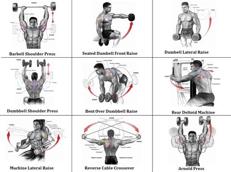 2 Shoulder Routines to Get the Best Shoulder Workout Guaranteed – RunOfLif