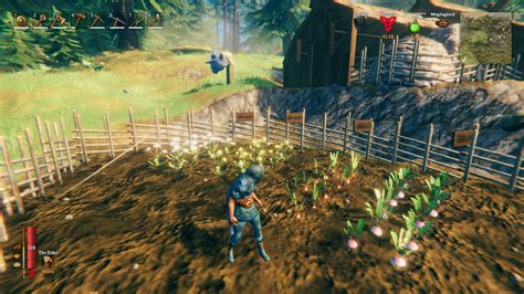 Valheim planting seeds and farming - Polygon