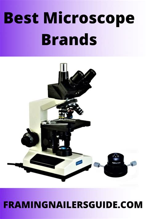 10 Best Microscope Brands 2020: Top Microscope Manufacturers | Best microscope, Brand, Microscope