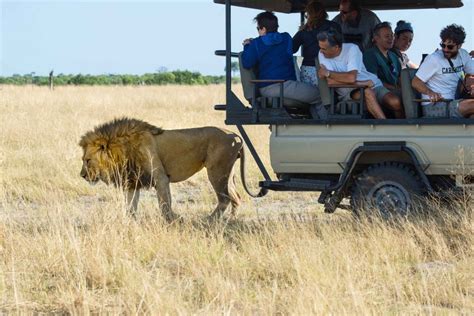 Maun: Private Guided Day Safari in Moremi Game Reserve in Botswana