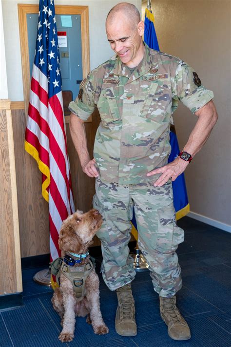 Service dog helps Colonel fight the battles back home > Air Force ...