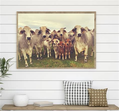 Cow Picture Wall Art Modern Farmhouse Cattle Decor - Etsy