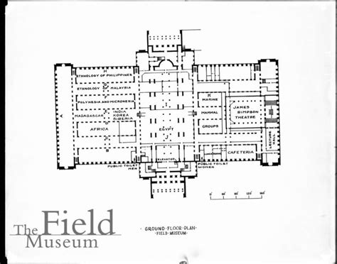 Field Museum Chicago Map - Alikee Ludovika