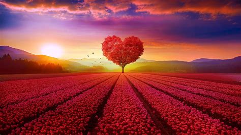 Love Scenery Wallpapers - Top Free Love Scenery Backgrounds ...