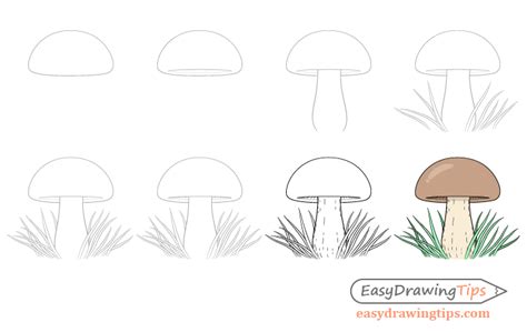 How to Draw a Mushroom in 8 Steps - EasyDrawingTips