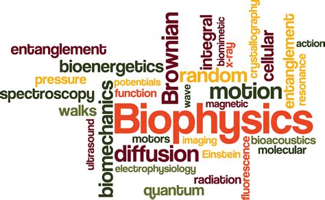 Biophysics