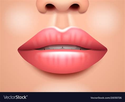 Woman lips face close up Royalty Free Vector Image