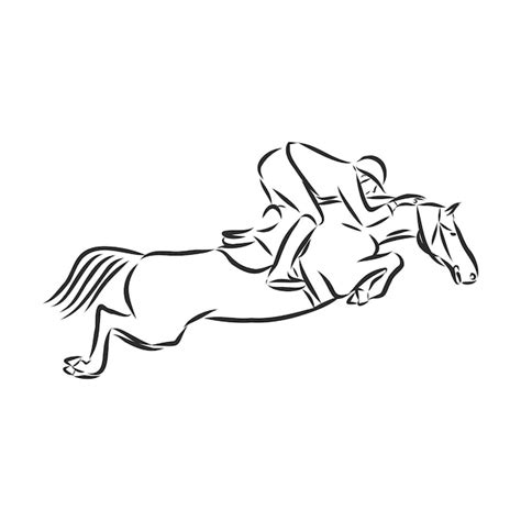 Premium Vector | Jumping horse,black white picture isolated on white background,vector illustration